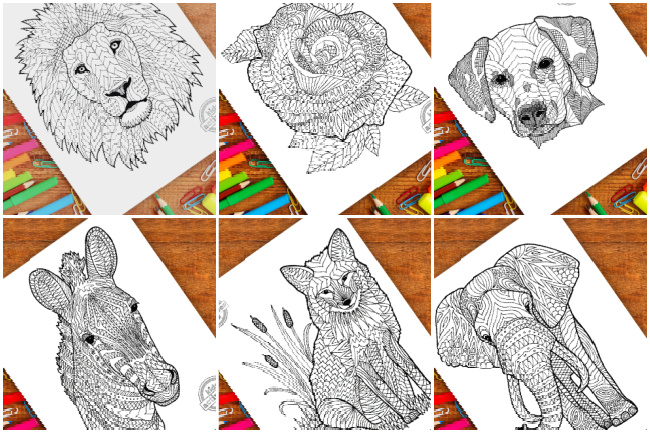 zentangle designs from Kids Activities Blog - shown are zentangle lion, rose, dog, zebra, fox and elephant with colored pencils and markers