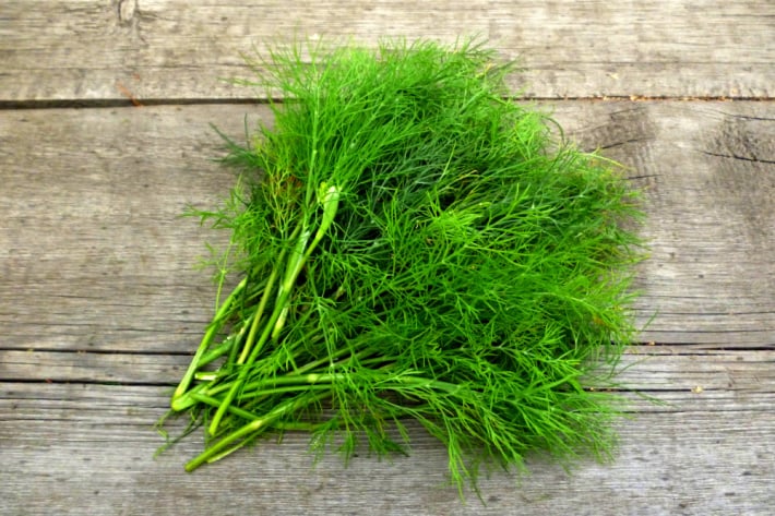 Fresh dill against wood, dill starts with letter d- kids activities blog