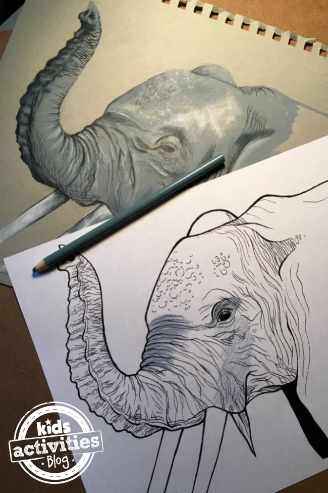 Animals that Start with the Letter E - elephant- Kids activities blog - elephant coloring sheet